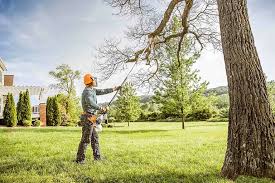 Best Storm Damage Tree Cleanup  in Ragland, AL